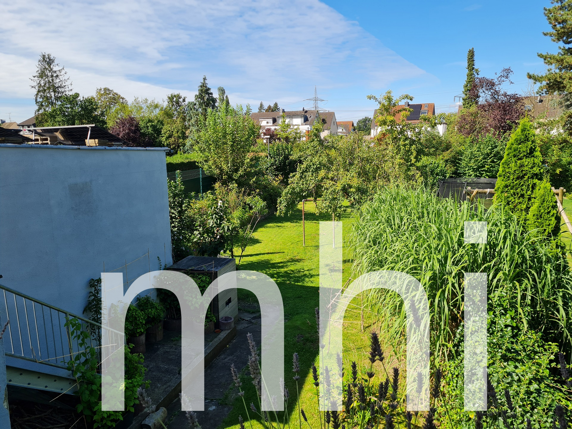 Blick in den Garten